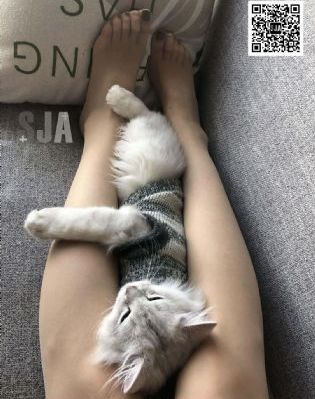 欲求不满 希岛あいり在线看